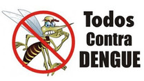Read more about the article Combate ao mosquito Aedes Aegypti (mosquito da dengue).