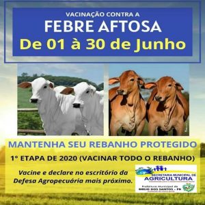 Read more about the article Vacinação contra Febre Aftosa